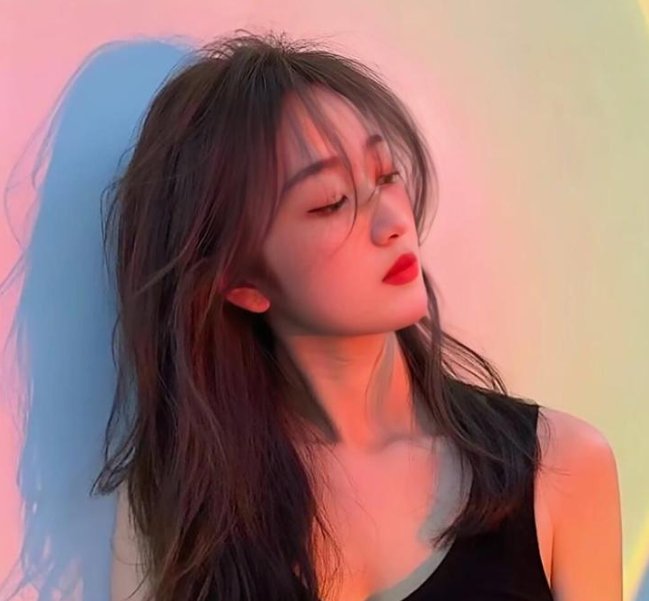 崩坏的教育现场战斗的校园律师