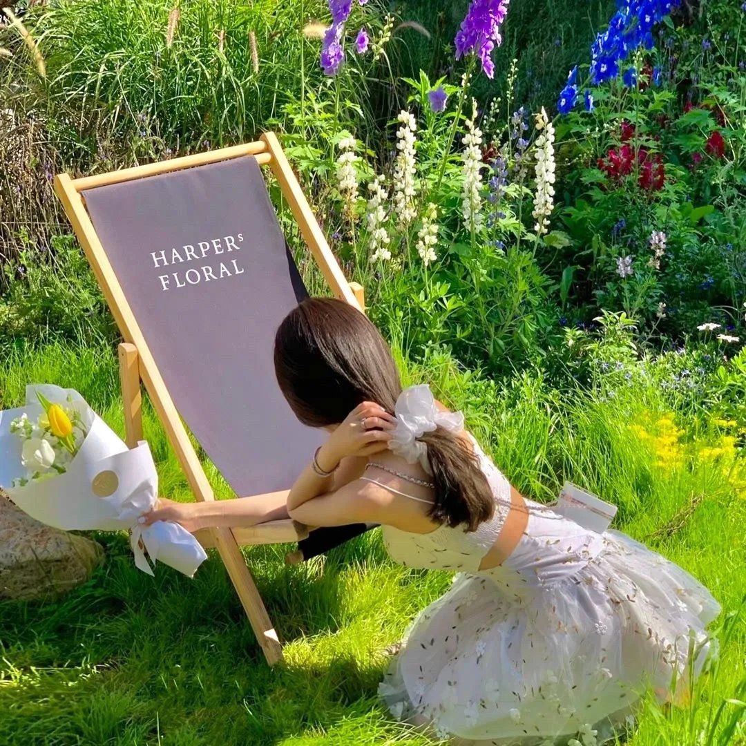 梦断香消将军府